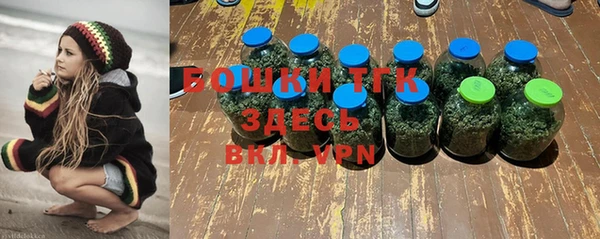 PSILOCYBIN Баксан