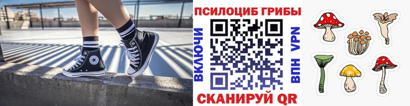 Псилоцибиновые грибы Magic Shrooms  KRAKEN ТОР  Давлеканово 